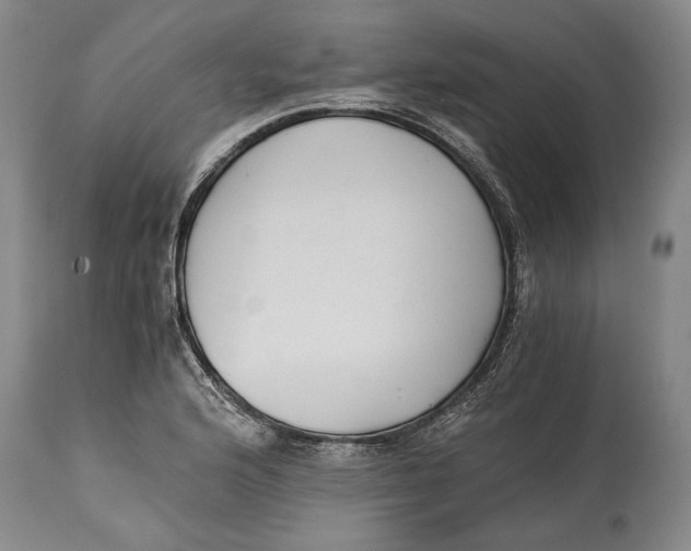 X0000114411176200911061553