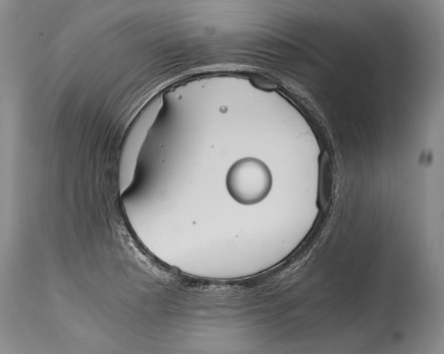 X0000114411177200911061553