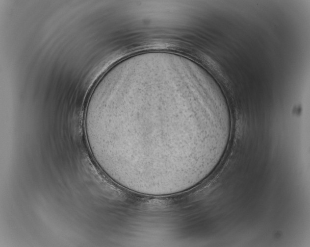 X0000114411178200911061553