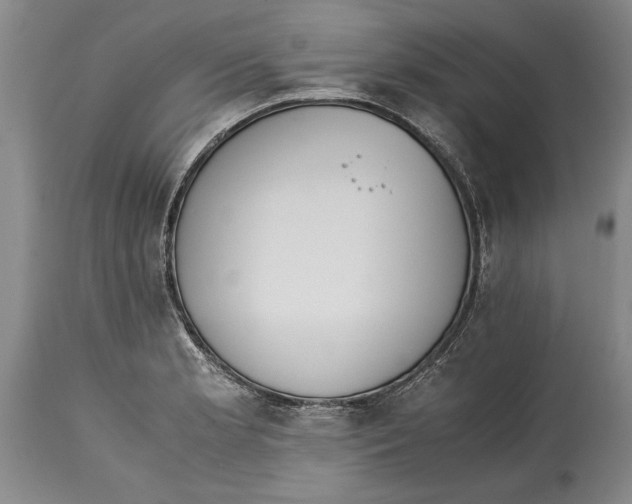 X0000114411181200911061553