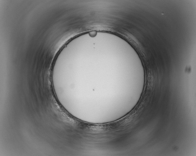 X0000114411182200911061553