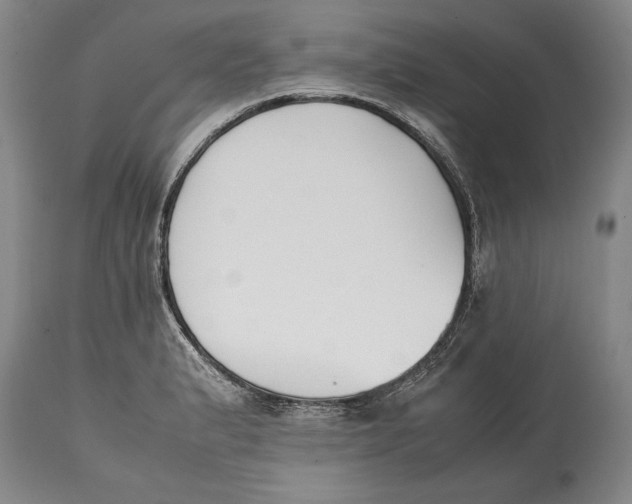 X0000114411183200911061553