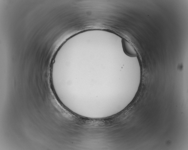 X0000114411187200911061553