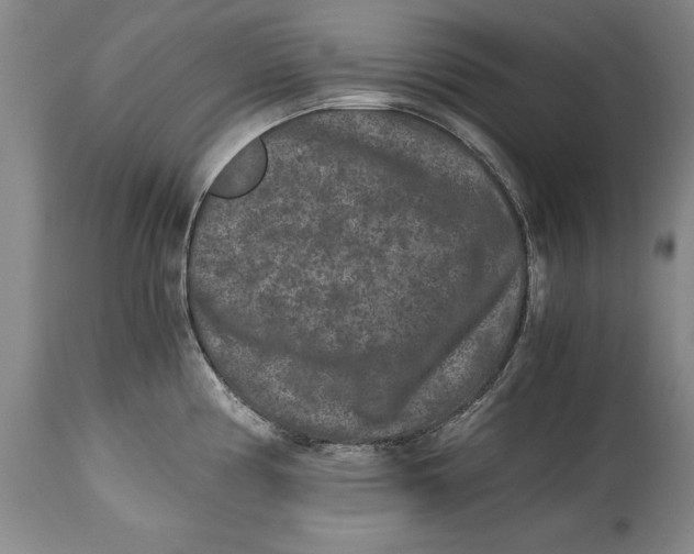 X0000114411194200911061553