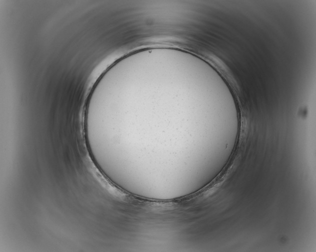 X0000114411196200911061553