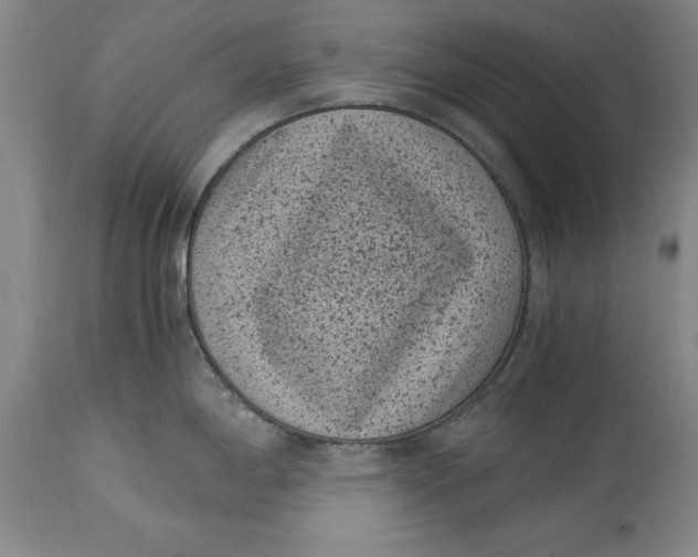 X0000114411198200911061553