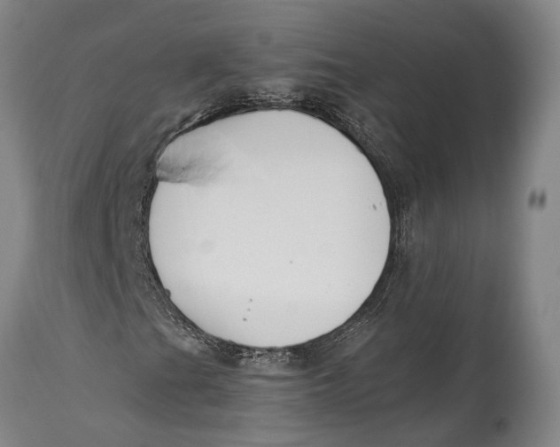 X0000114411201200911061552