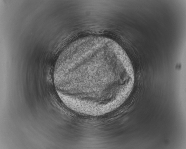 X0000114411202200911061552