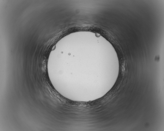 X0000114411204200911061552