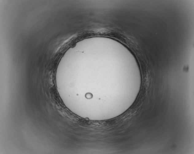 X0000114411205200911061552