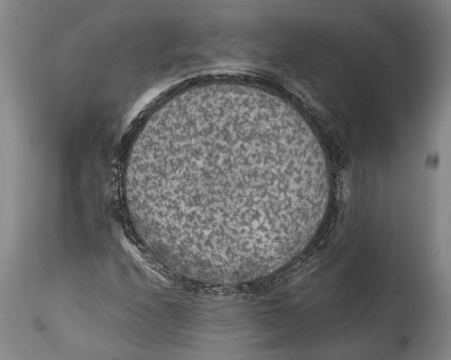 X0000114411208200911061552