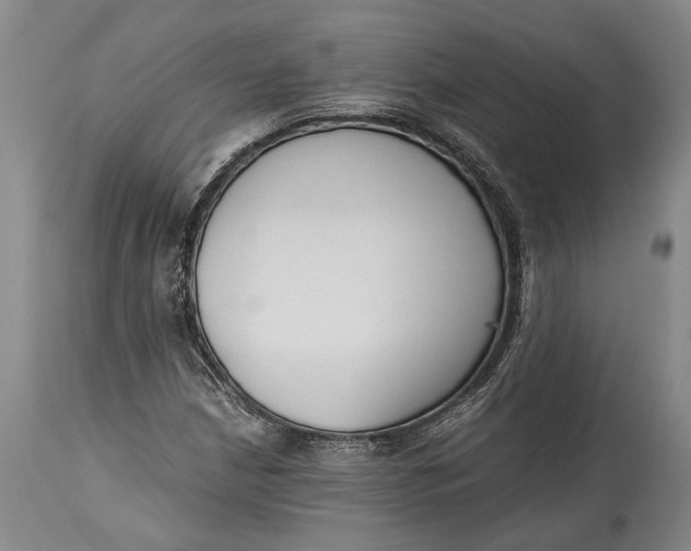 X0000114411210200911061552