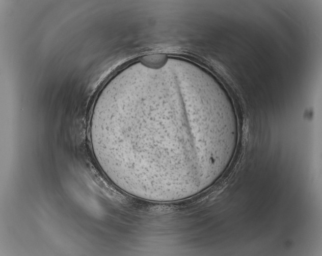 X0000114411212200911061552