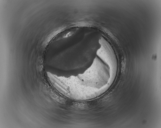 X0000114411213200911061553