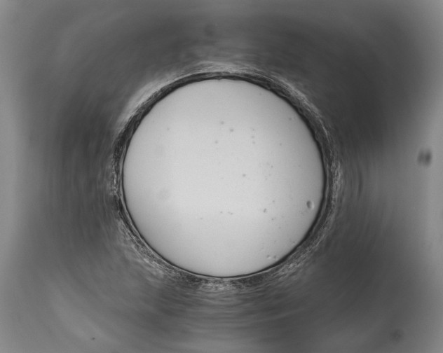 X0000114411215200911061553