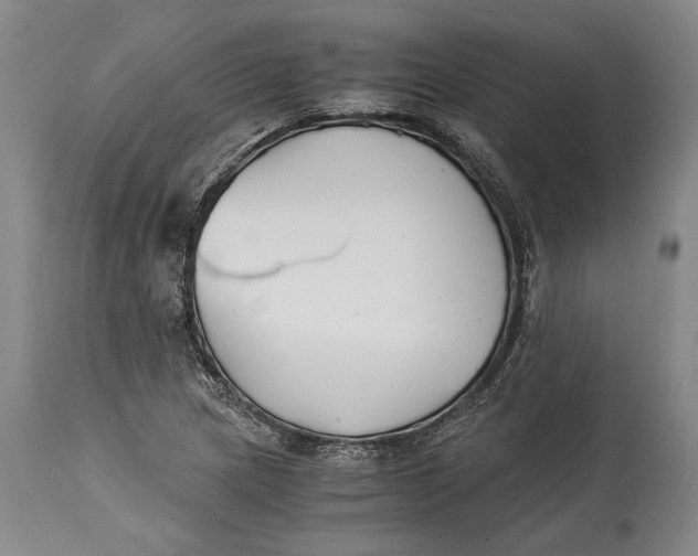 X0000114411217200911061553