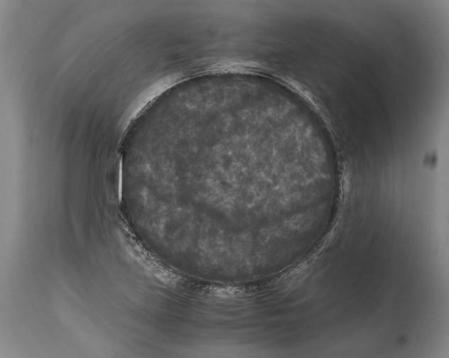 X0000114411219200911061553