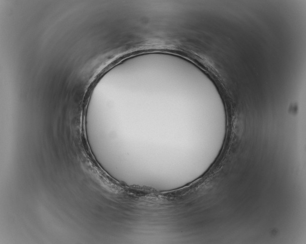 X0000114411220200911061553