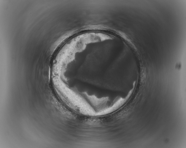 X0000114411221200911061553