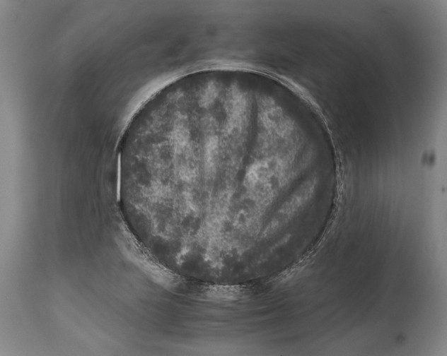 X0000114411223200911061553