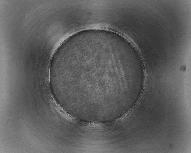 X0000114411224200911061553