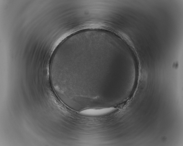 X0000114411226200911061553