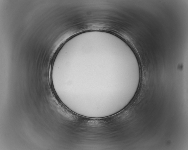 X0000114411227200911061553