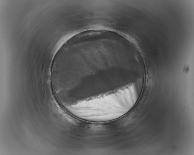 X0000114411231200911061553