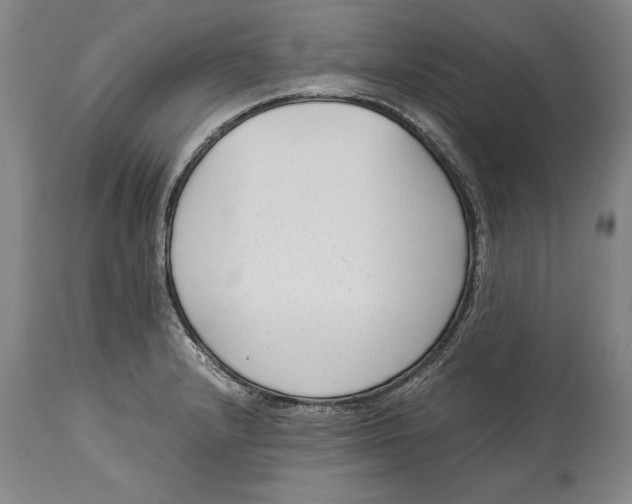 X0000114411232200911061553