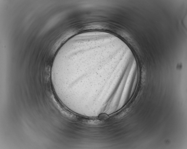 X0000114411233200911061553