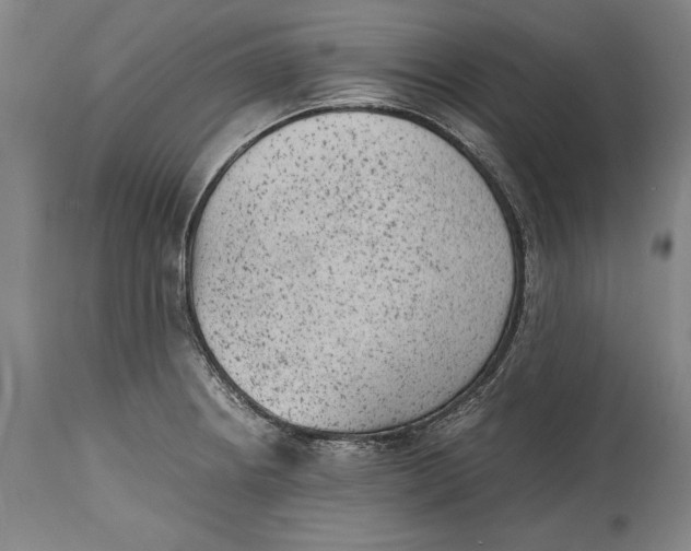 X0000114411234200911061553