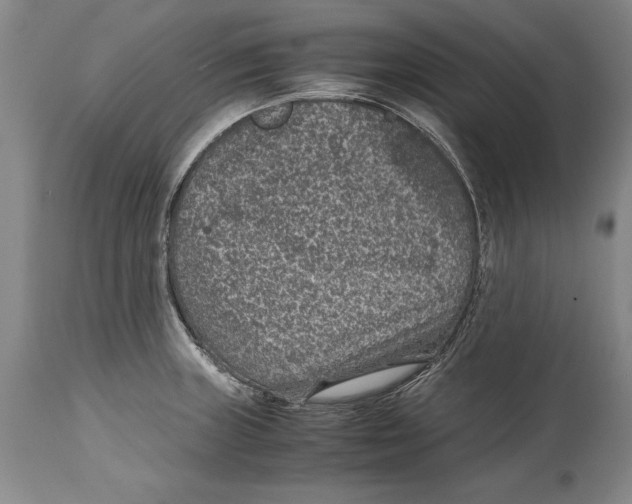 X0000114411235200911061553