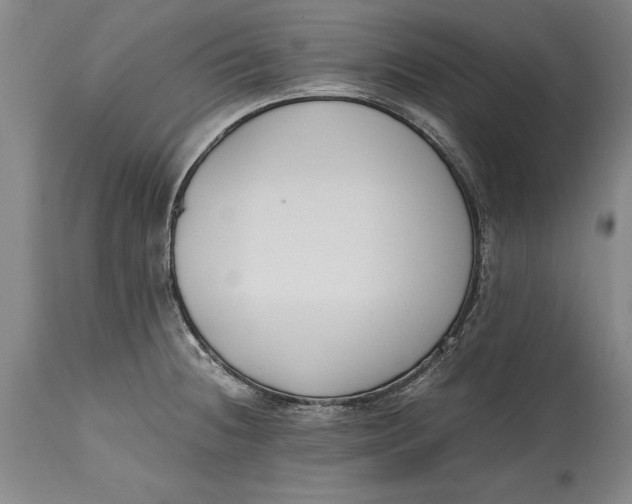 X0000114411236200911061553