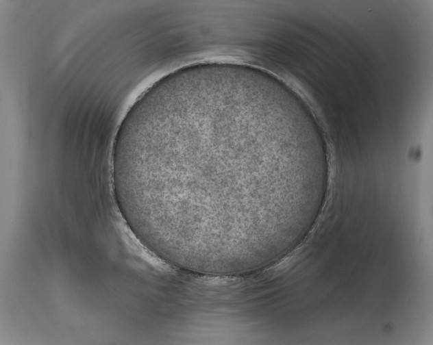 X0000114411240200911061553