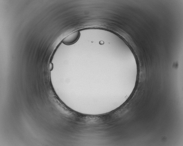 X0000114411242200911061553