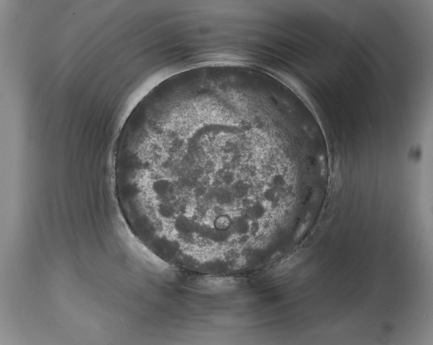 X0000114411243200911061553