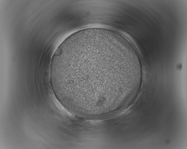 X0000114411244200911061553