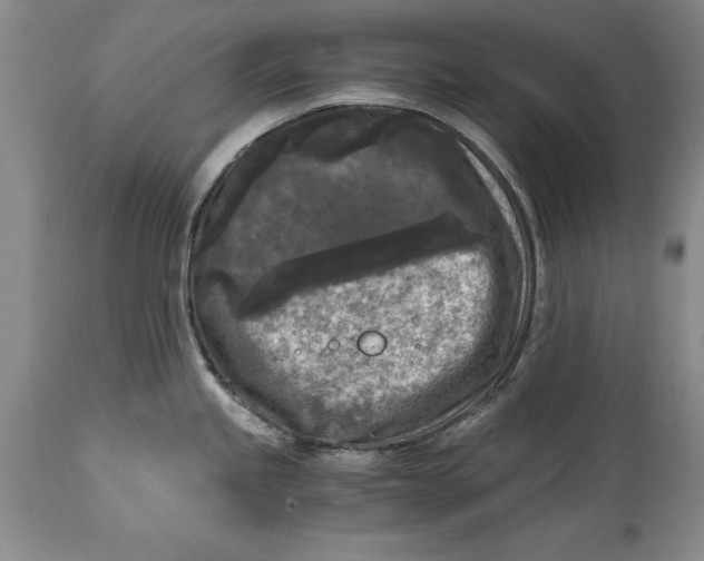 X0000114411245200911061553