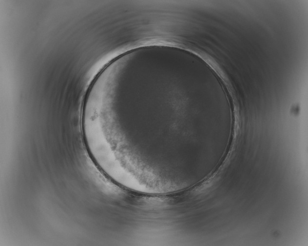 X0000114411246200911061553