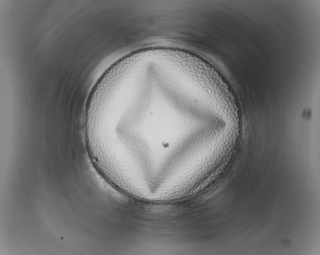 X0000114411247200911061553