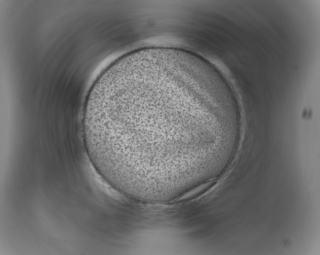 X0000114411248200911061553