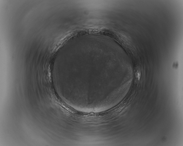 X0000114411252200911061552