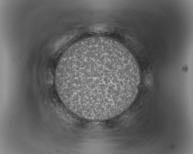 X0000114411253200911061552