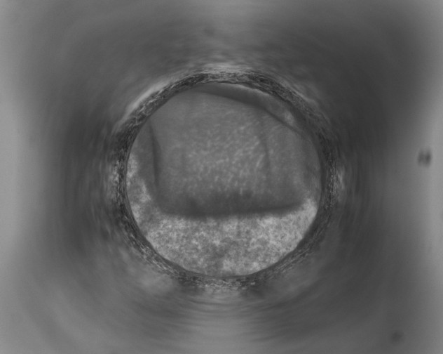 X0000114411254200911061552