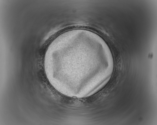 X0000114411255200911061552