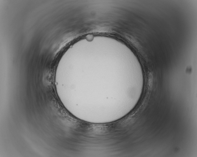 X0000114411258200911061552