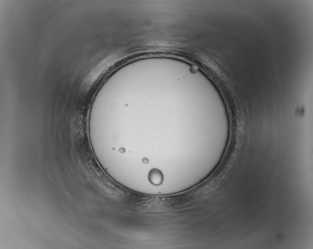 X0000114411259200911061552