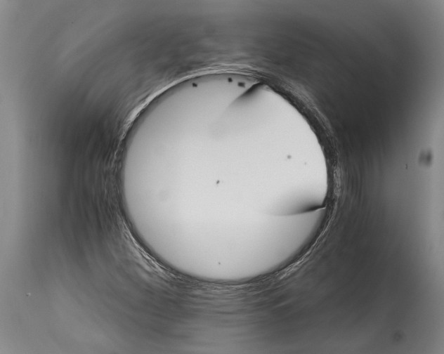 X0000114411260200911061552