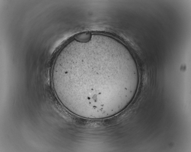 X0000114411262200911061552