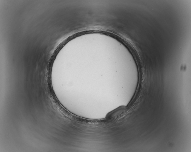 X0000114411264200911061552